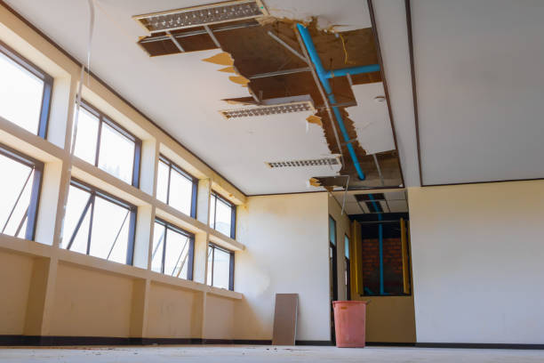 Best Professional water damage repair  in Summit View, WA