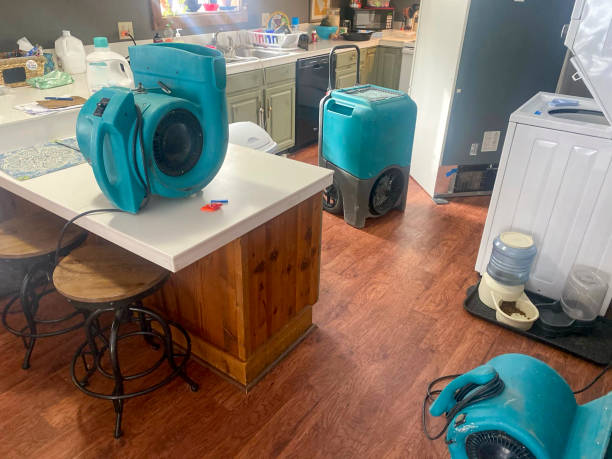 Water damage restoration experts in Summit View, WA