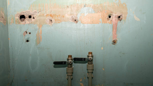 Best Fire Damage Restoration  in Summit View, WA
