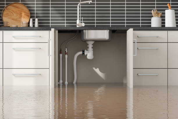 Best Carpet water damage restoration  in Summit View, WA