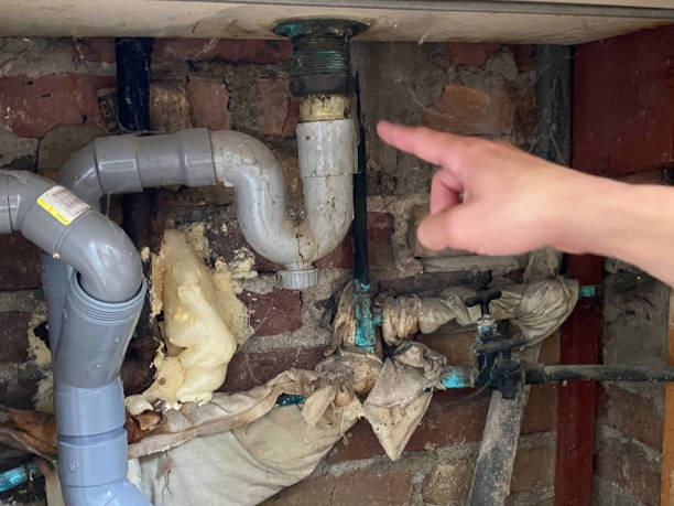 Best Ceiling water damage repair  in Summit View, WA