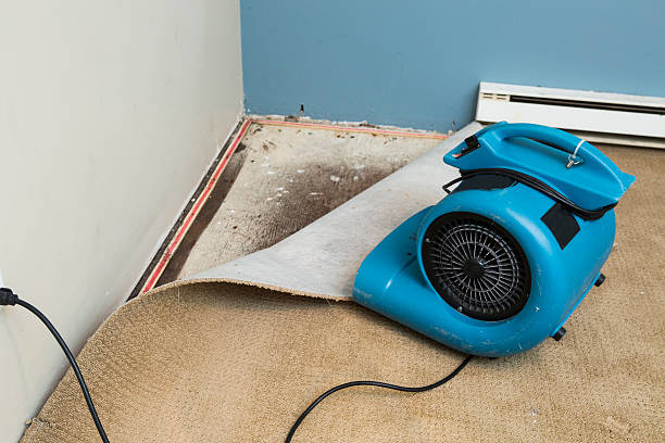 Best Fire Damage Restoration  in Summit View, WA